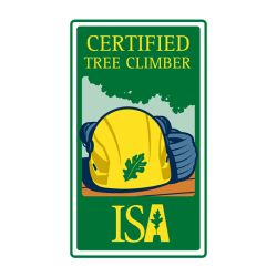 Certified Tree Climber Logo