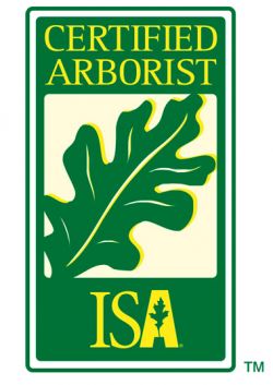Certified Arborist ISA Logo